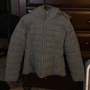 hollister winter jacket